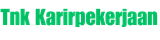 Tnk.karirpekerjaan.com